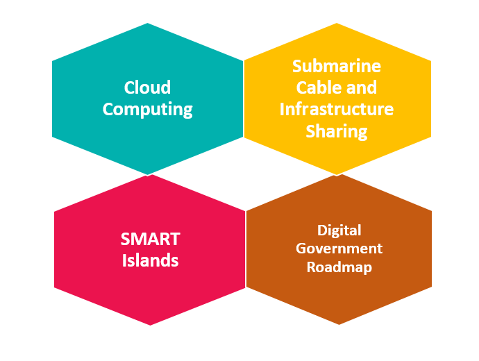 Government IT Strategies